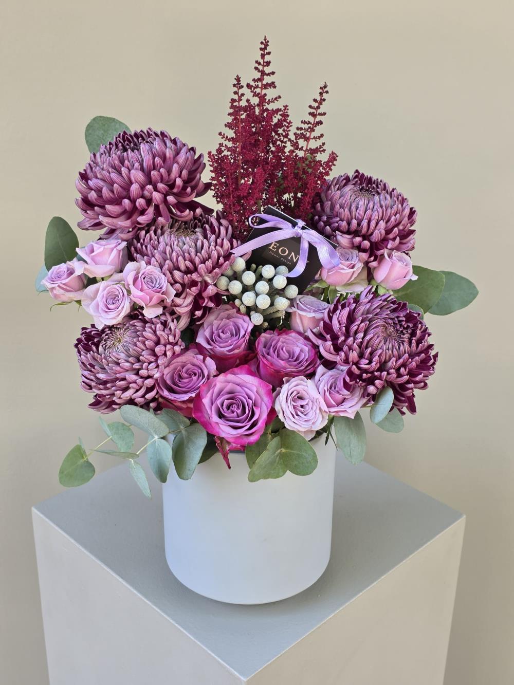 Royal Plum Dream